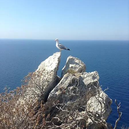 Kiara Διαμέρισμα Zavalatica